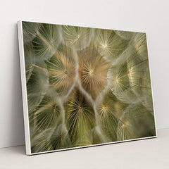 7090289344547 - Product Image