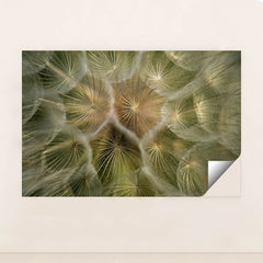 7090289344547 - Product Image