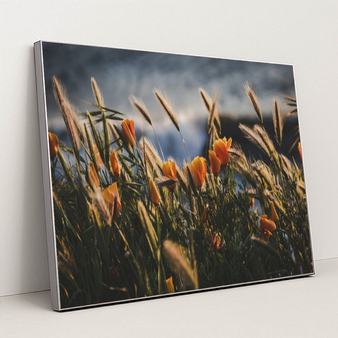 7090295701539 - Product Image