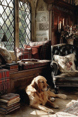 Golden Hour in the Library - Product Image - 1