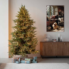 Golden Hour in the Library - Product Image - 7