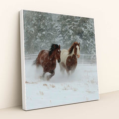 Hooves of the North - Product Image - 3