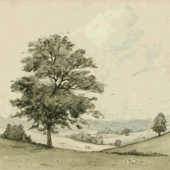 The Great Big Quiet Tree - Product Image - 1