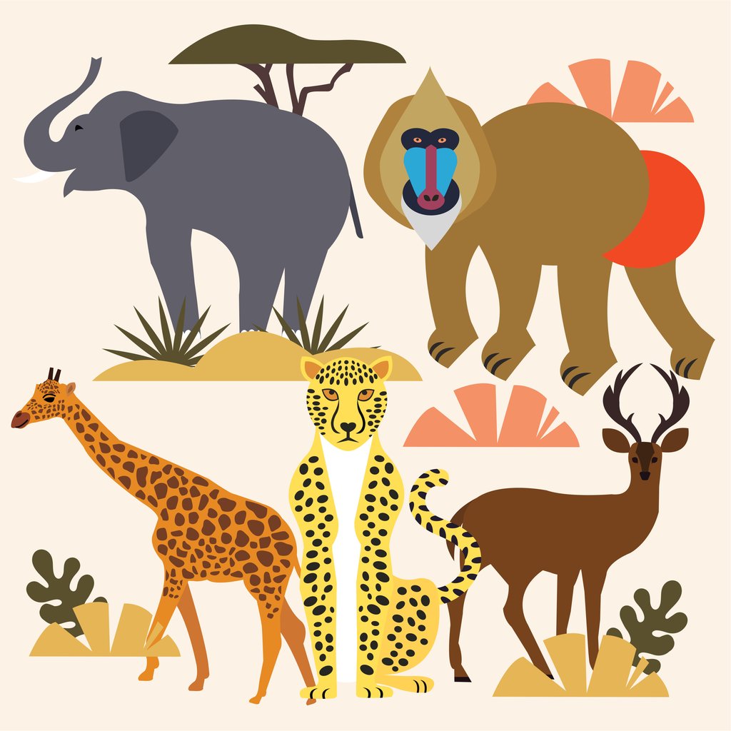 Swati B - A group of wild animals standing next to each other