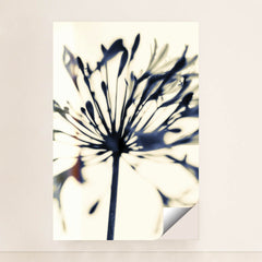 7090230951971 - Product Image