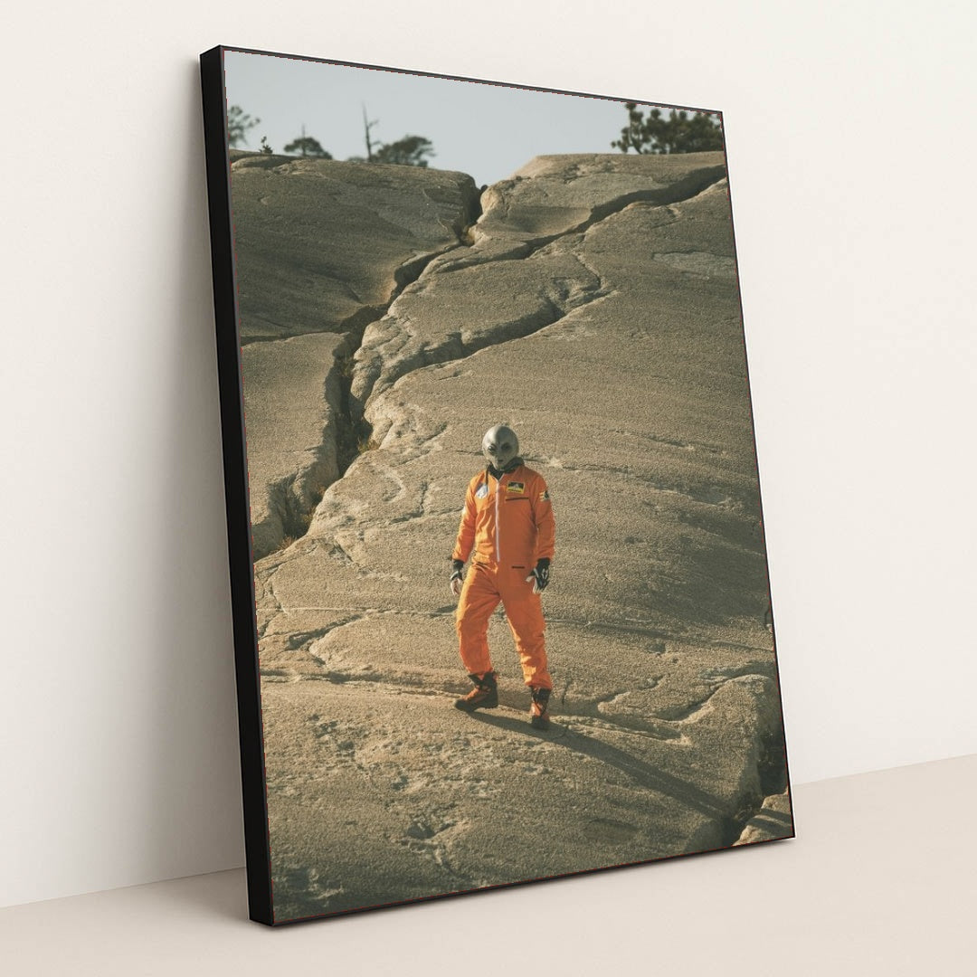 7090368413731 - Product Image