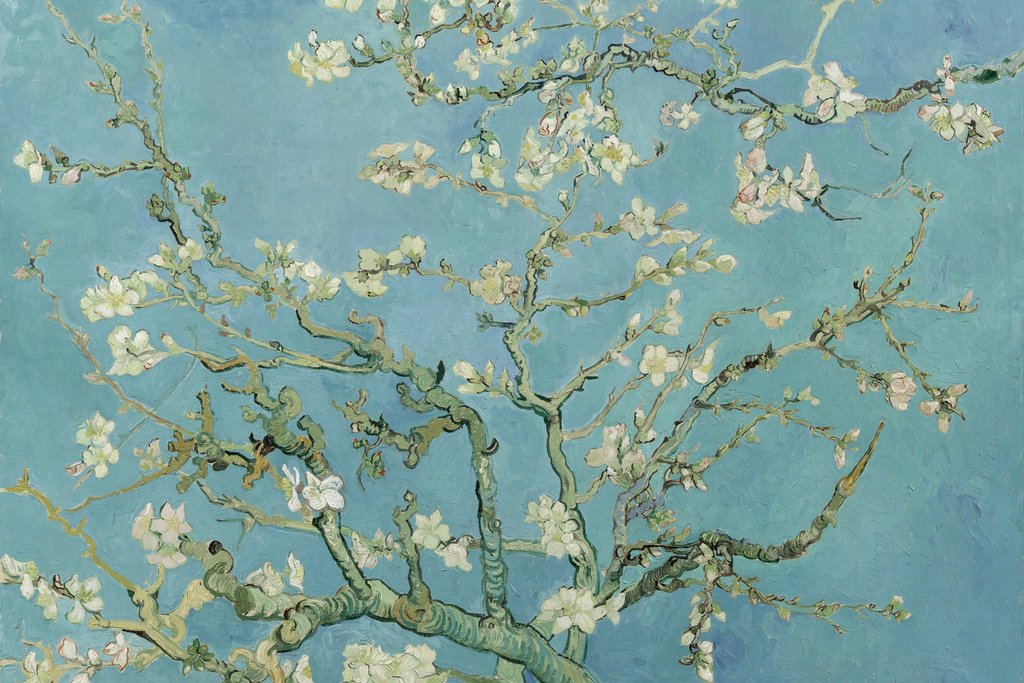 Vincent Van Gogh - Almond Blossoms