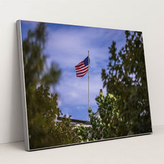 7090338693155 - Product Image