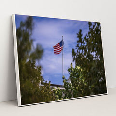 7090338693155 - Product Image