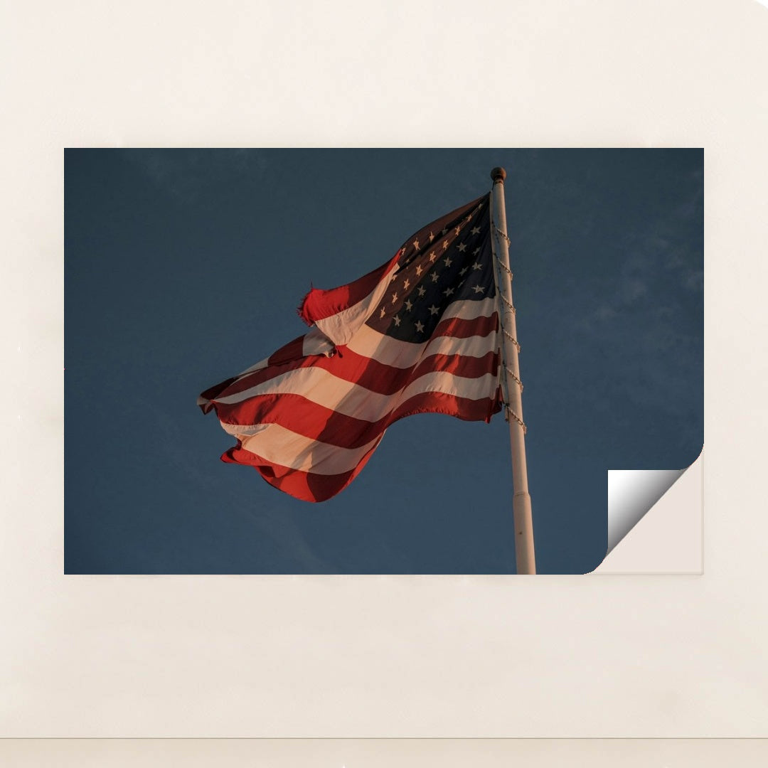 7090334007331 - Product Image