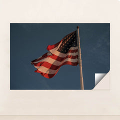 7090334007331 - Product Image