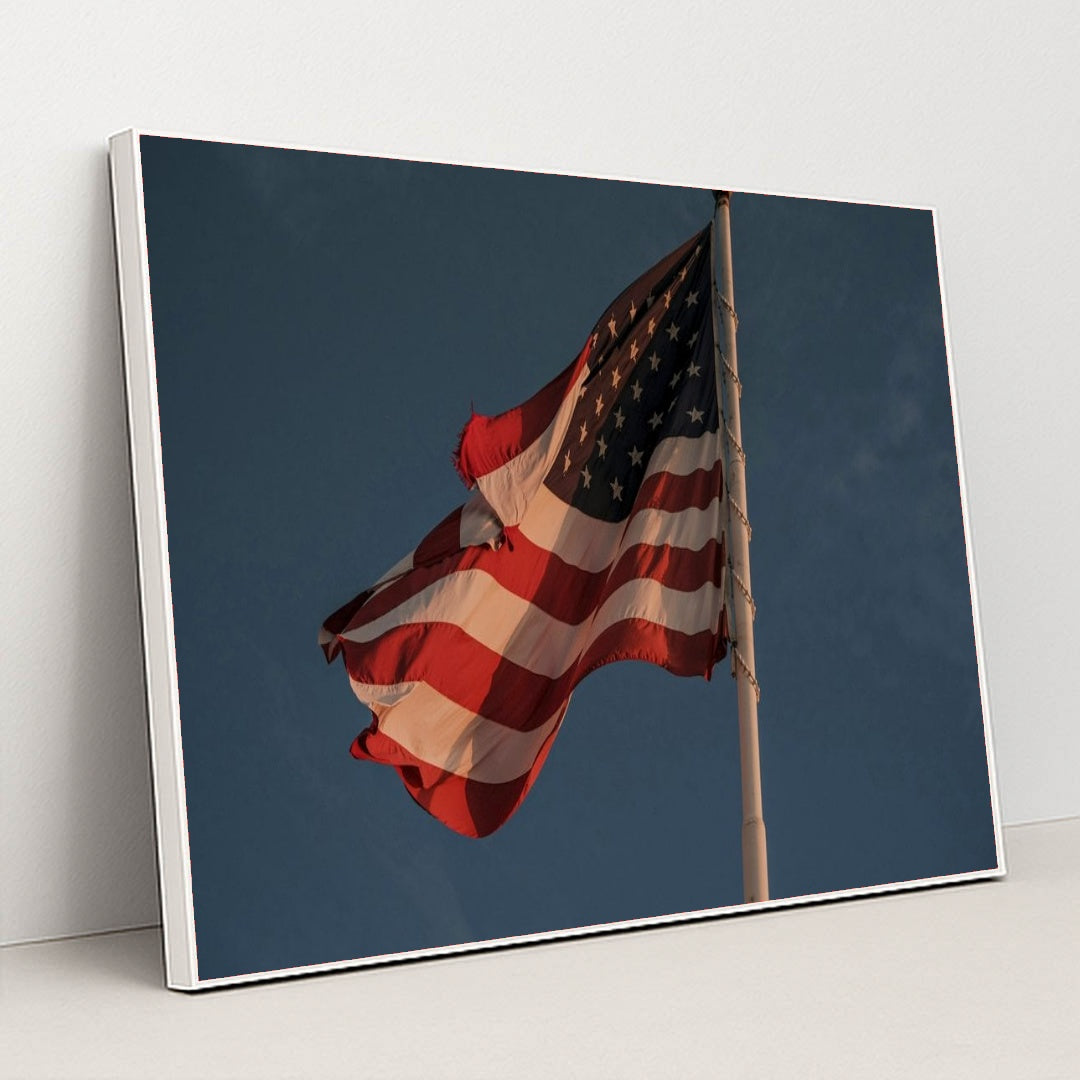 7090334007331 - Product Image