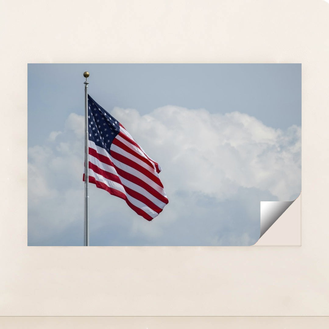 7090334072867 - Product Image