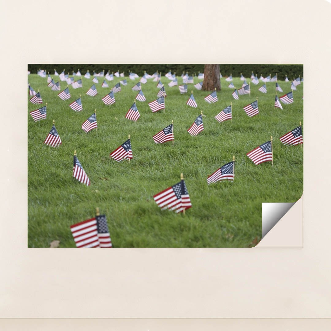 7090353799203 - Product Image