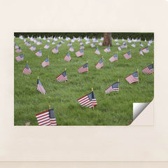 7090353799203 - Product Image