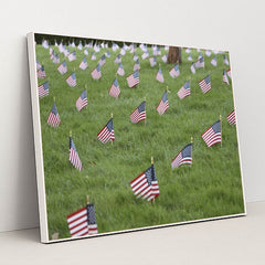 7090353799203 - Product Image