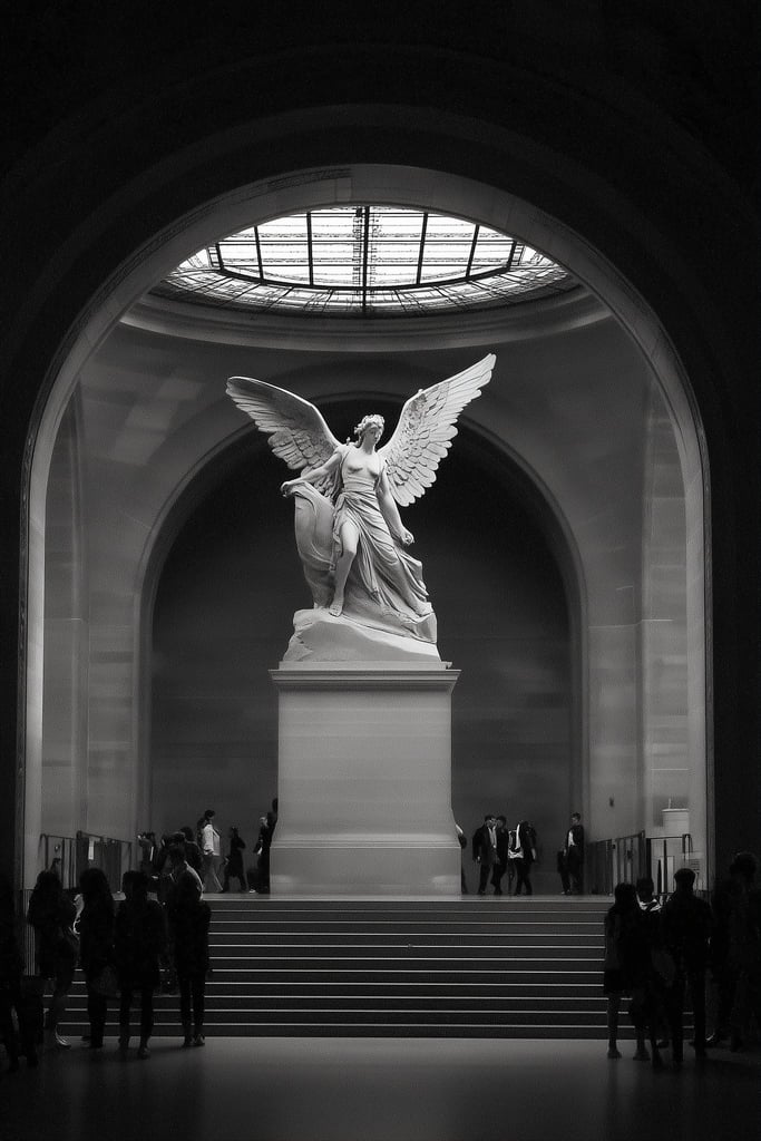 The Vaulted Silence - Product Image - 1