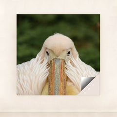 7090329518115 - Product Image