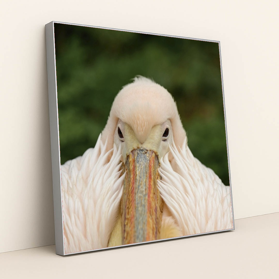 7090329518115 - Product Image