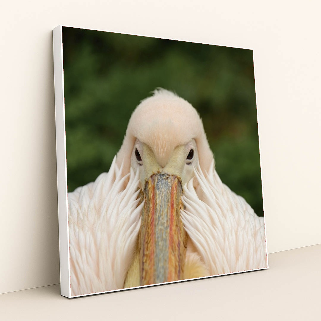 7090329518115 - Product Image