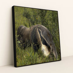 7090330107939 - Product Image