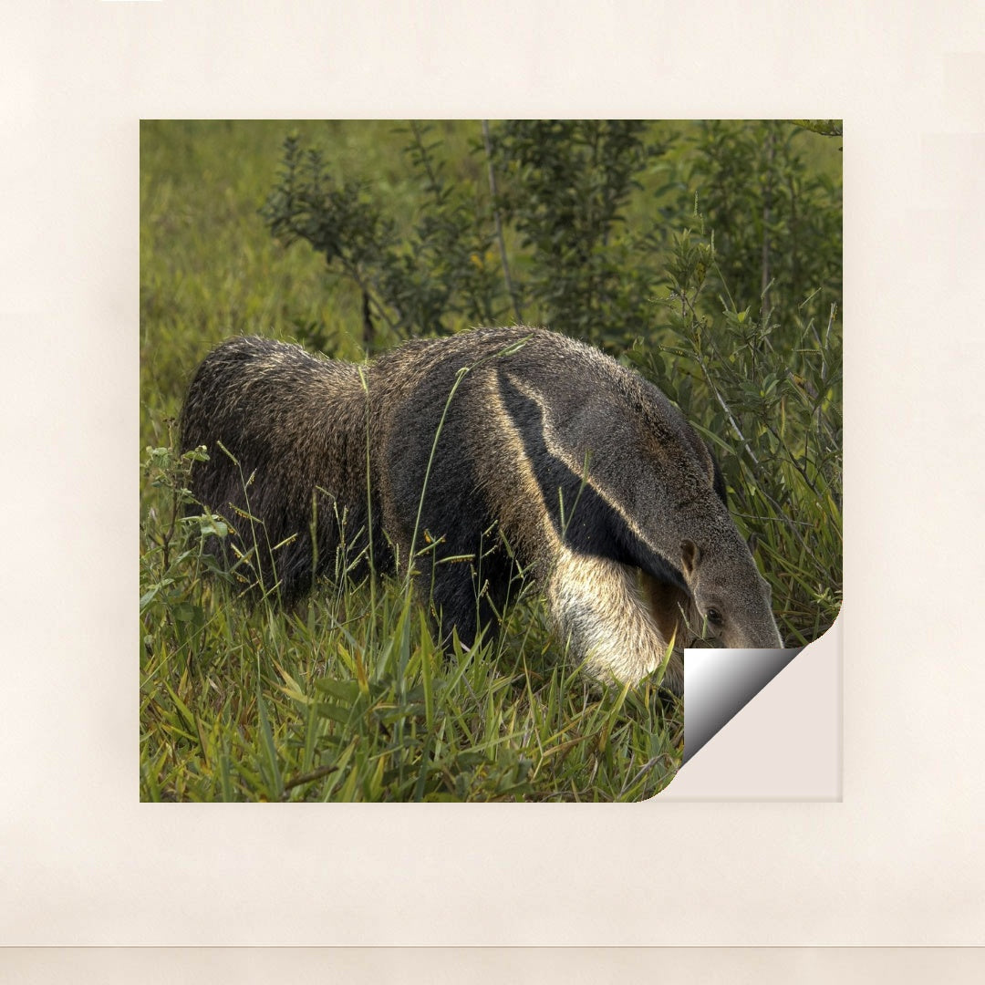 7090330107939 - Product Image