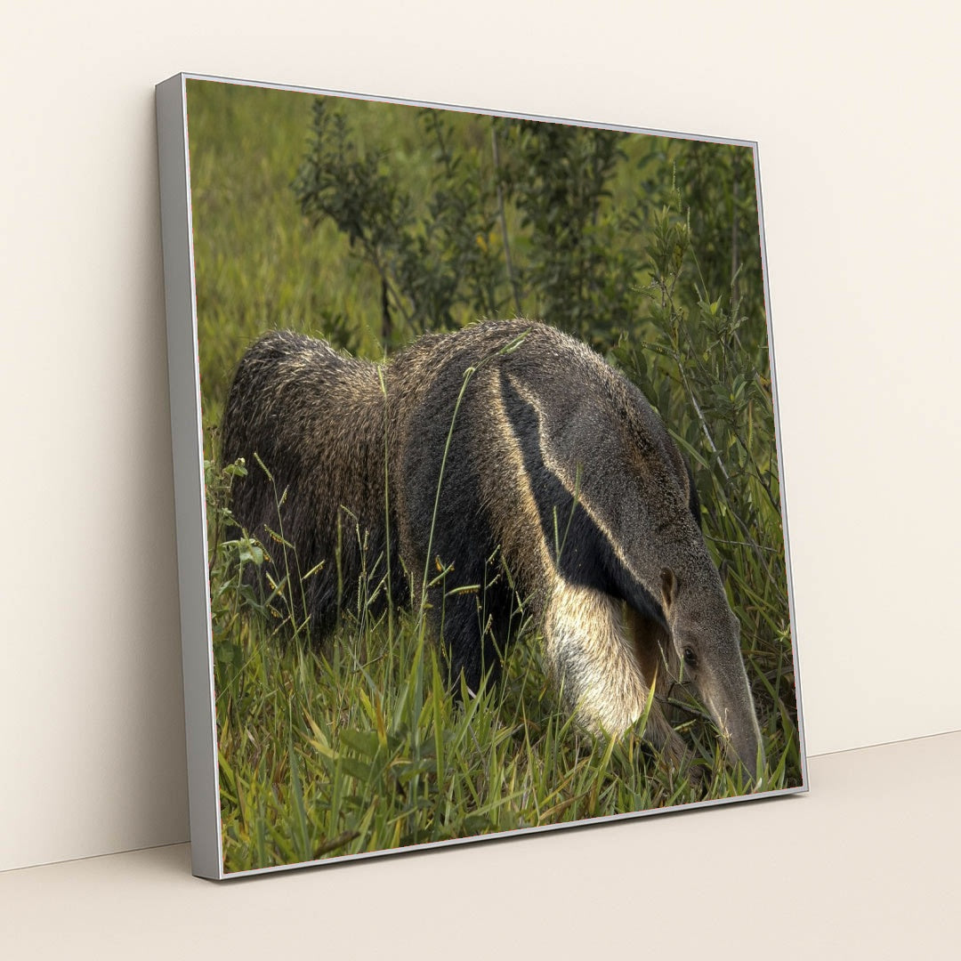 7090330107939 - Product Image