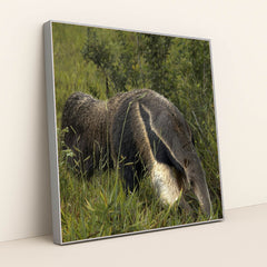 7090330107939 - Product Image