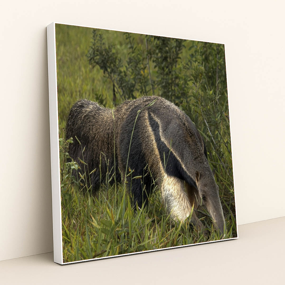 7090330107939 - Product Image