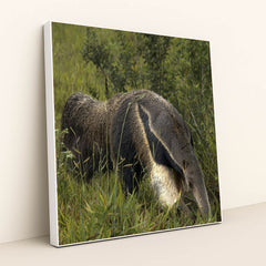 7090330107939 - Product Image