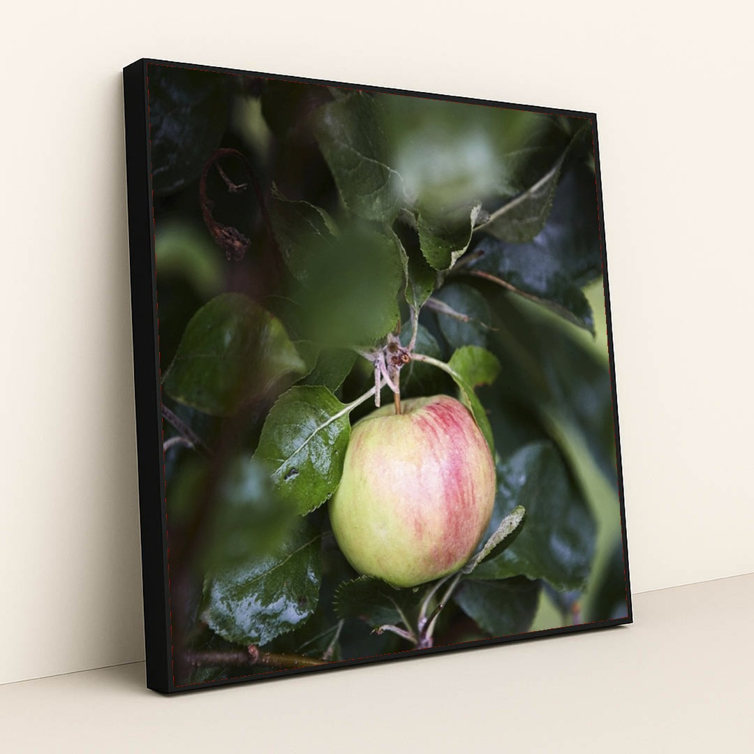 7090289573923 - Product Image