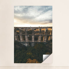 7090364940323 - Product Image