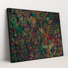 6345 - Product Image