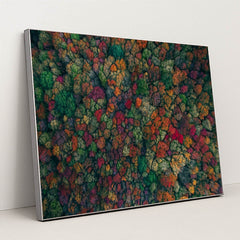 6345 - Product Image