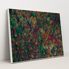 6345 - Product Image