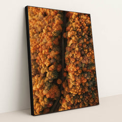 6342 - Product Image