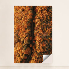 6342 - Product Image