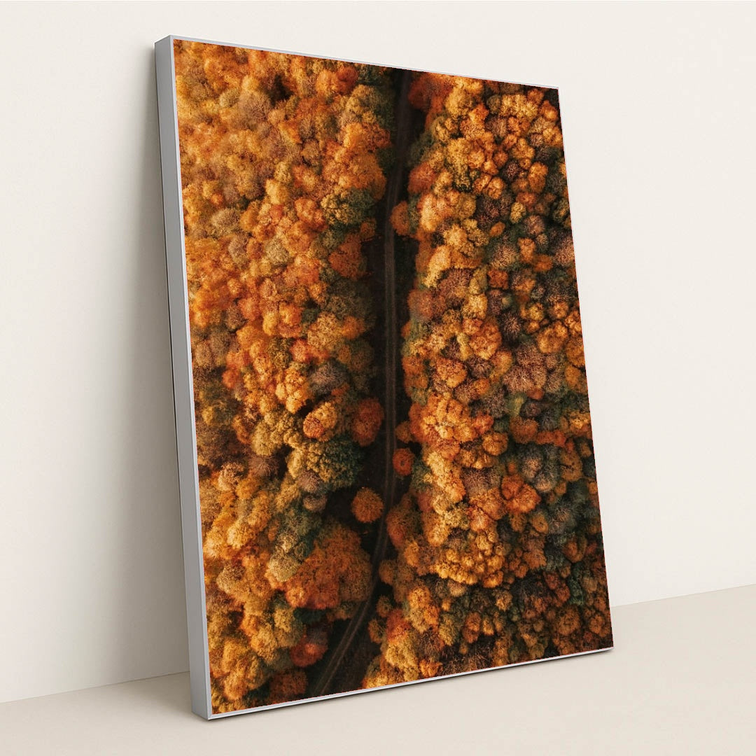 6342 - Product Image