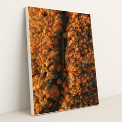 6342 - Product Image