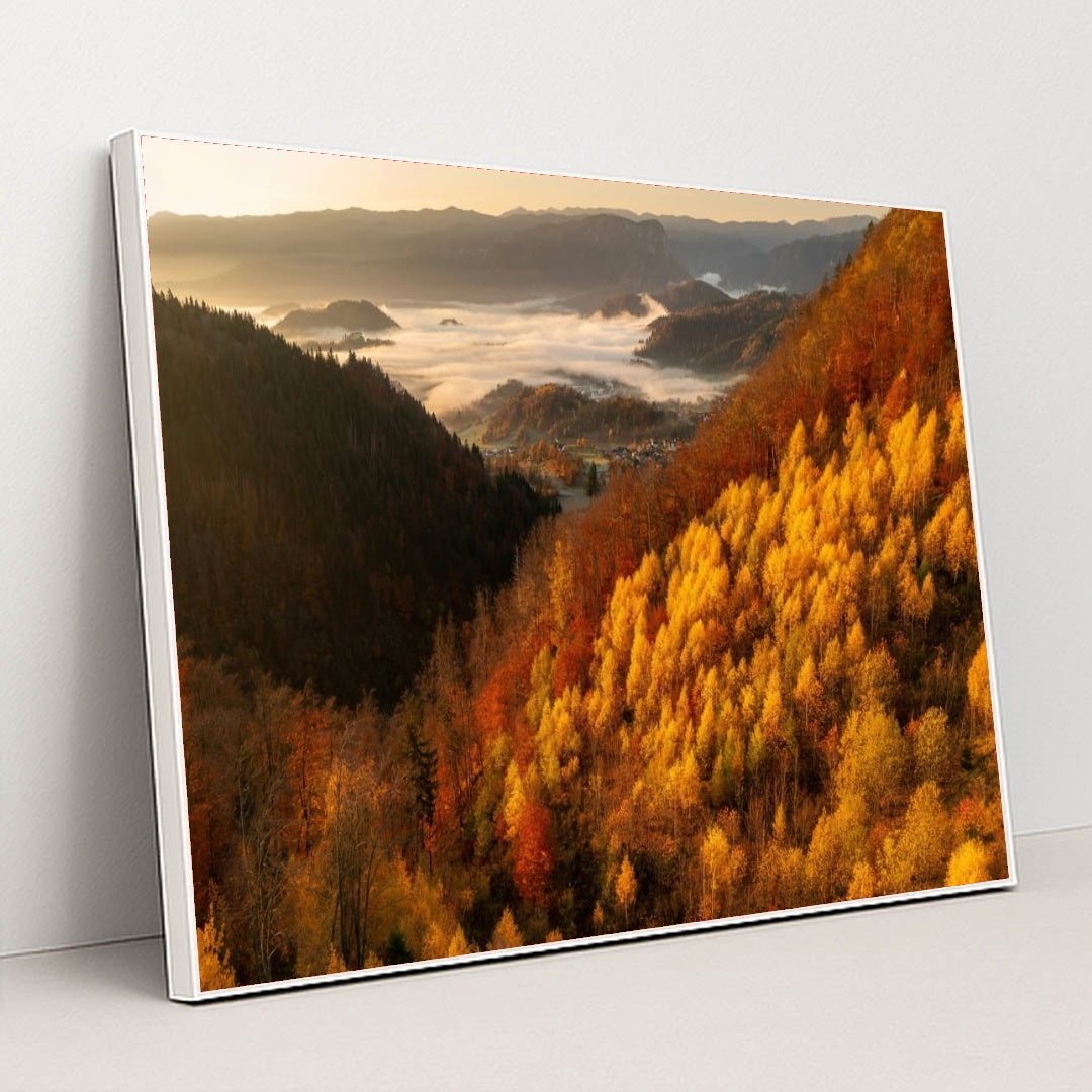 6343 - Product Image