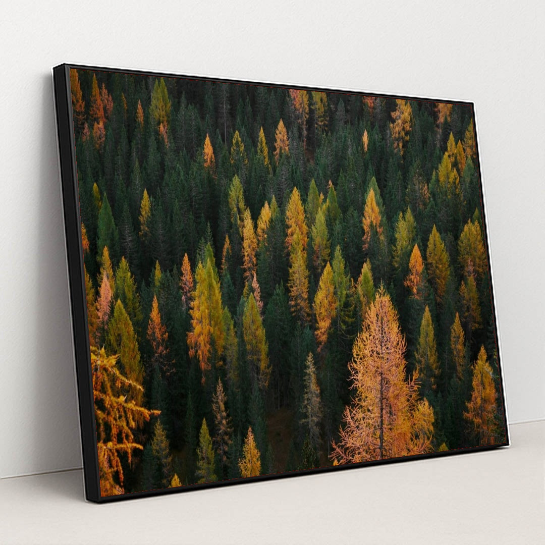 6333 - Product Image