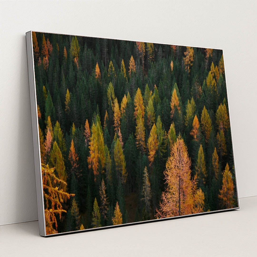 6333 - Product Image