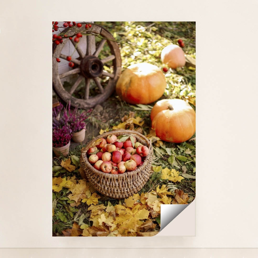 7090349408291 - Product Image