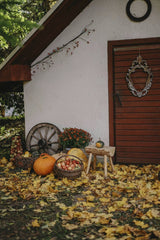 Valeria Boltneva - Charming autumn scene with pumpkins, apples, and rustic decor outside a wooden shed.
