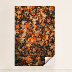 6335 - Product Image