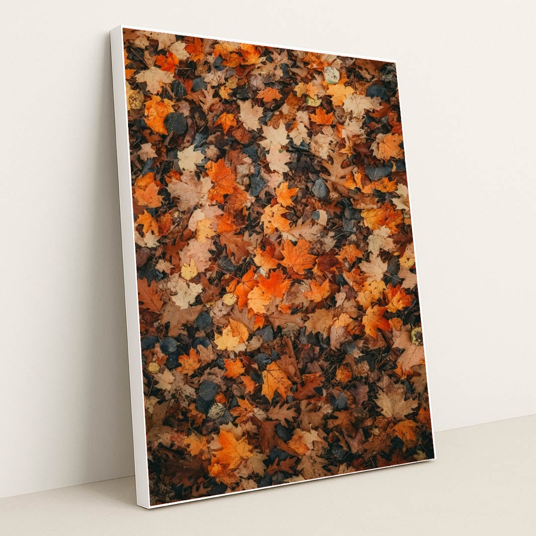 6335 - Product Image