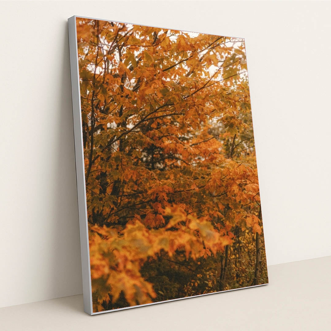 6339 - Product Image