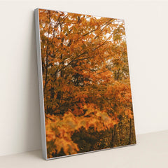 6339 - Product Image