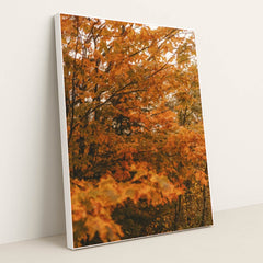 6339 - Product Image