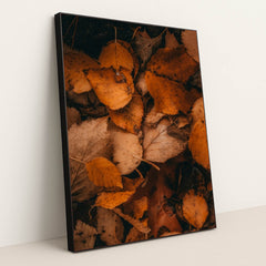 6334 - Product Image